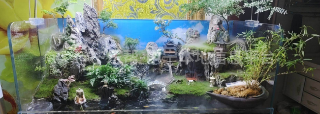 出售多功能水陆生态鱼缸