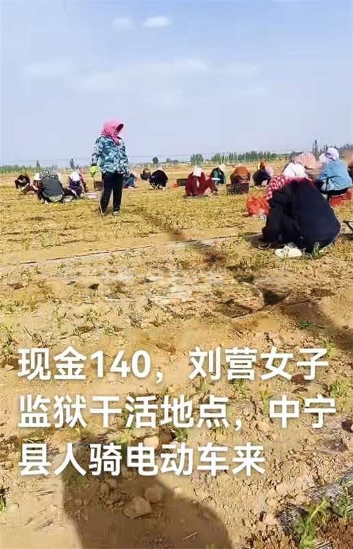 招零工，日结140栽菜苗招零工
地点：中宁女子监狱地基刘营，中宁人骑电动车就
