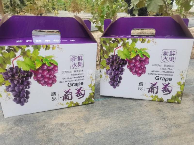 葡萄采摘园带技术转让转租